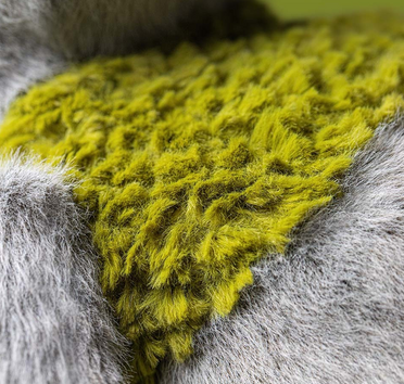 Jellycat Rockleton