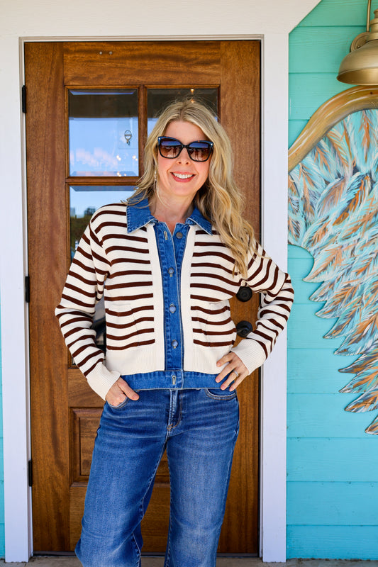Clove Stripe Denim Sweater Top