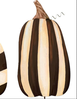 RTC Chocolate Striped Pumpkin