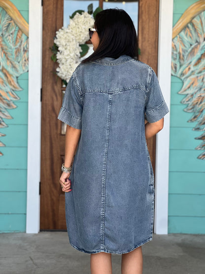 Uncle Frank Indigo Denim Shift Dress