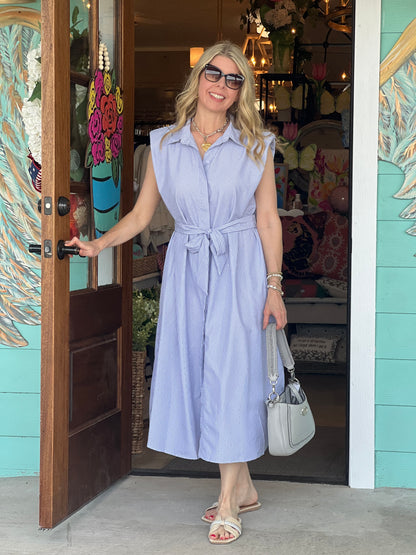 Navy Stripe Sparkle Shirt Dress