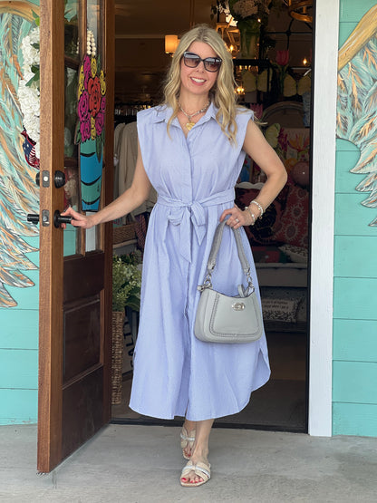 Navy Stripe Sparkle Shirt Dress