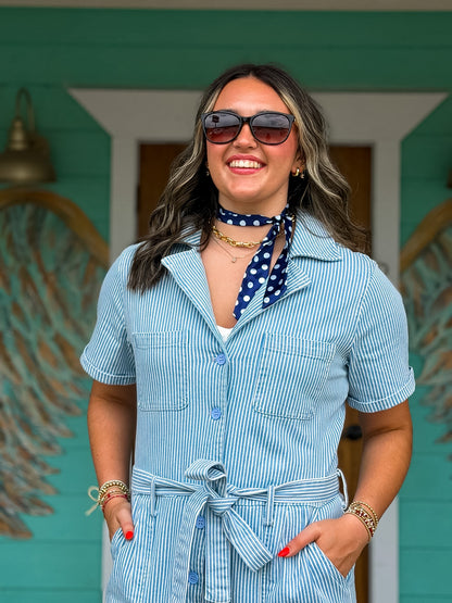 Light Denim Stripe Jumpsuit
