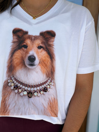 Collie Bling Collar Tee