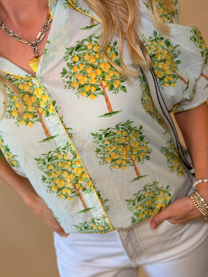 Ivy Jane Lemon Tree Top