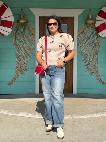 Reindeer Pattern Taupe Sweater