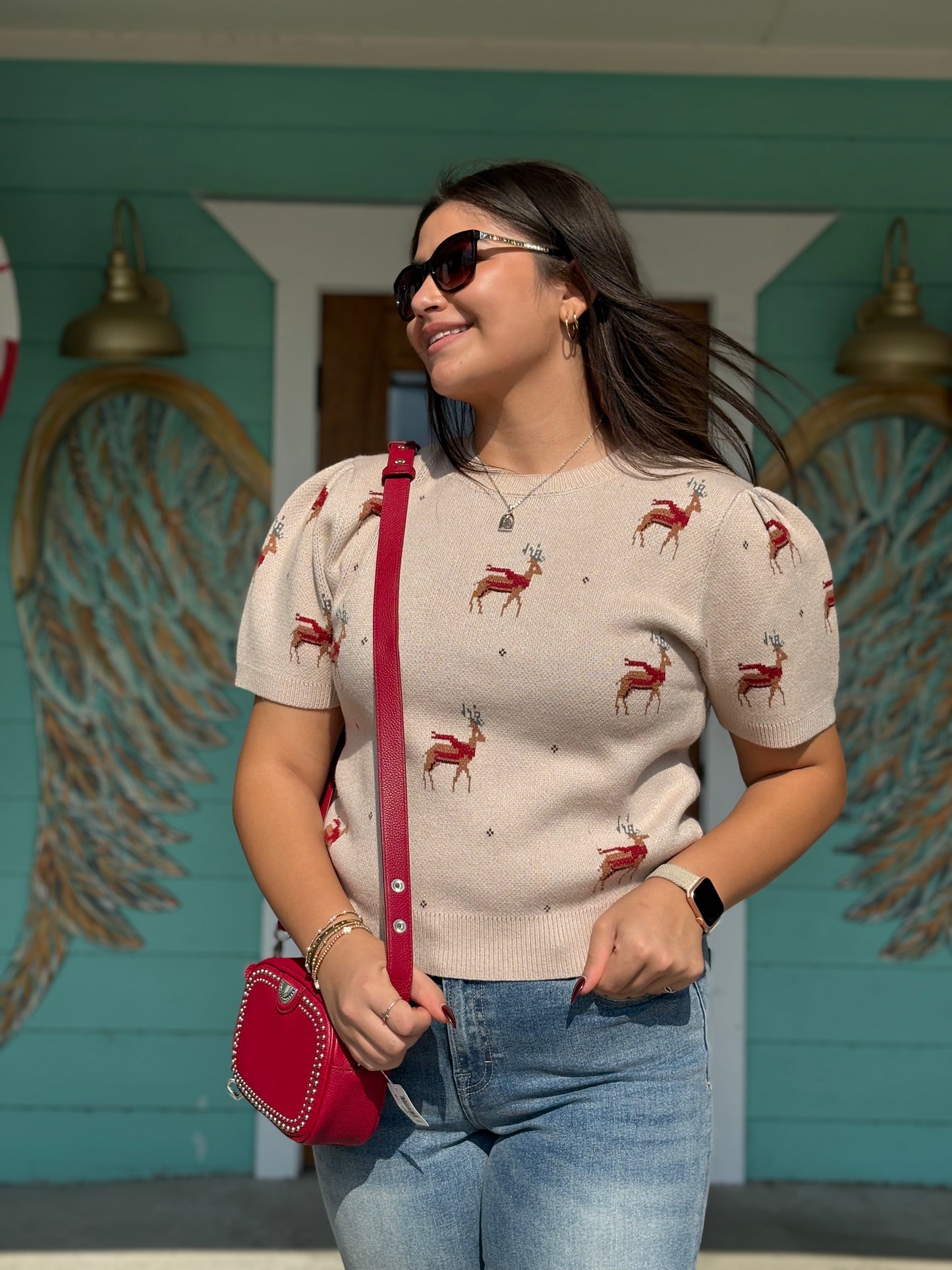 Reindeer Pattern Taupe Sweater