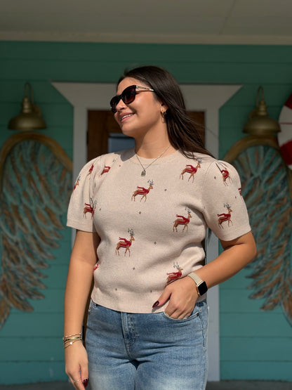 Reindeer Pattern Taupe Sweater