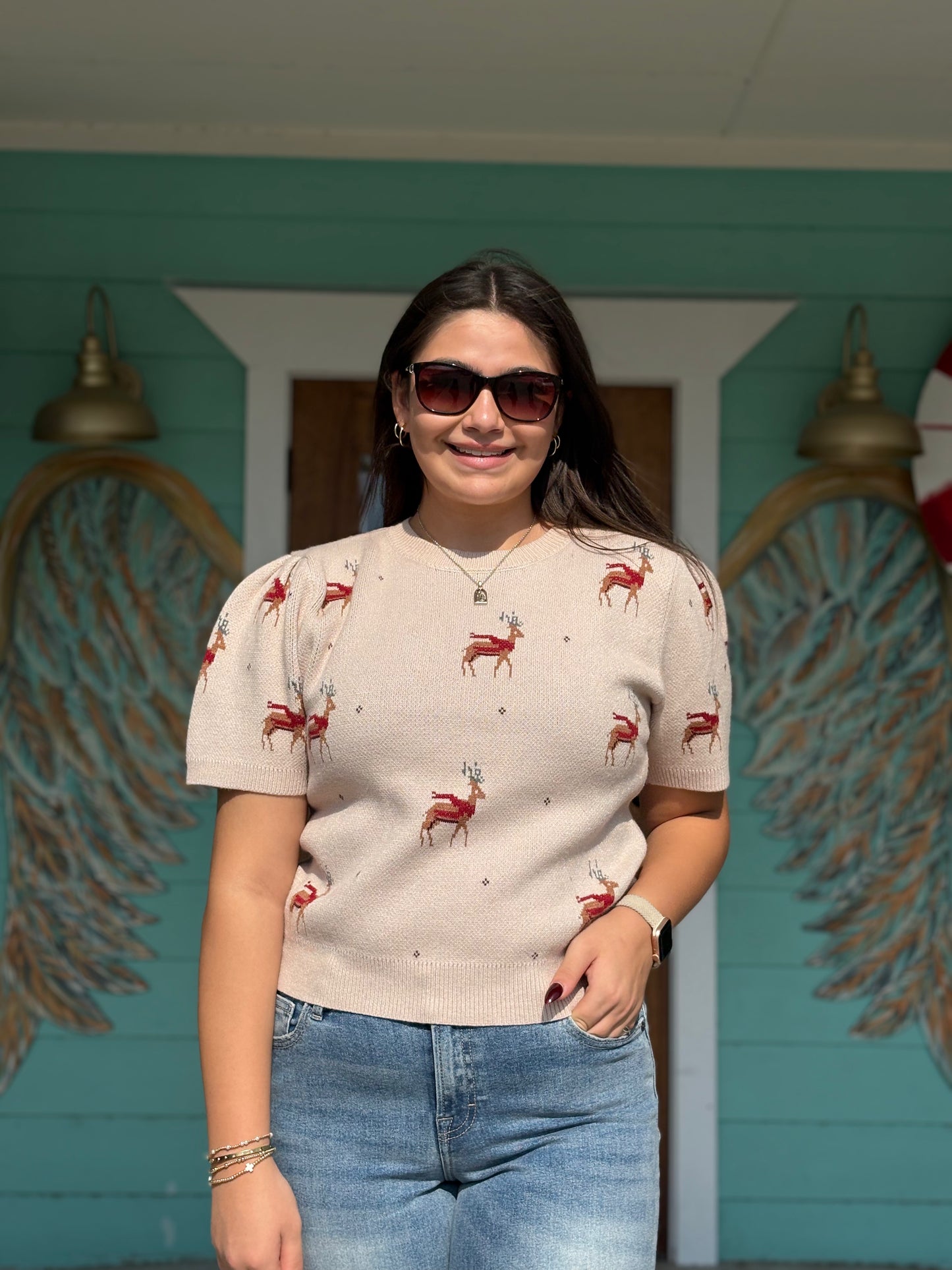 Reindeer Pattern Taupe Sweater