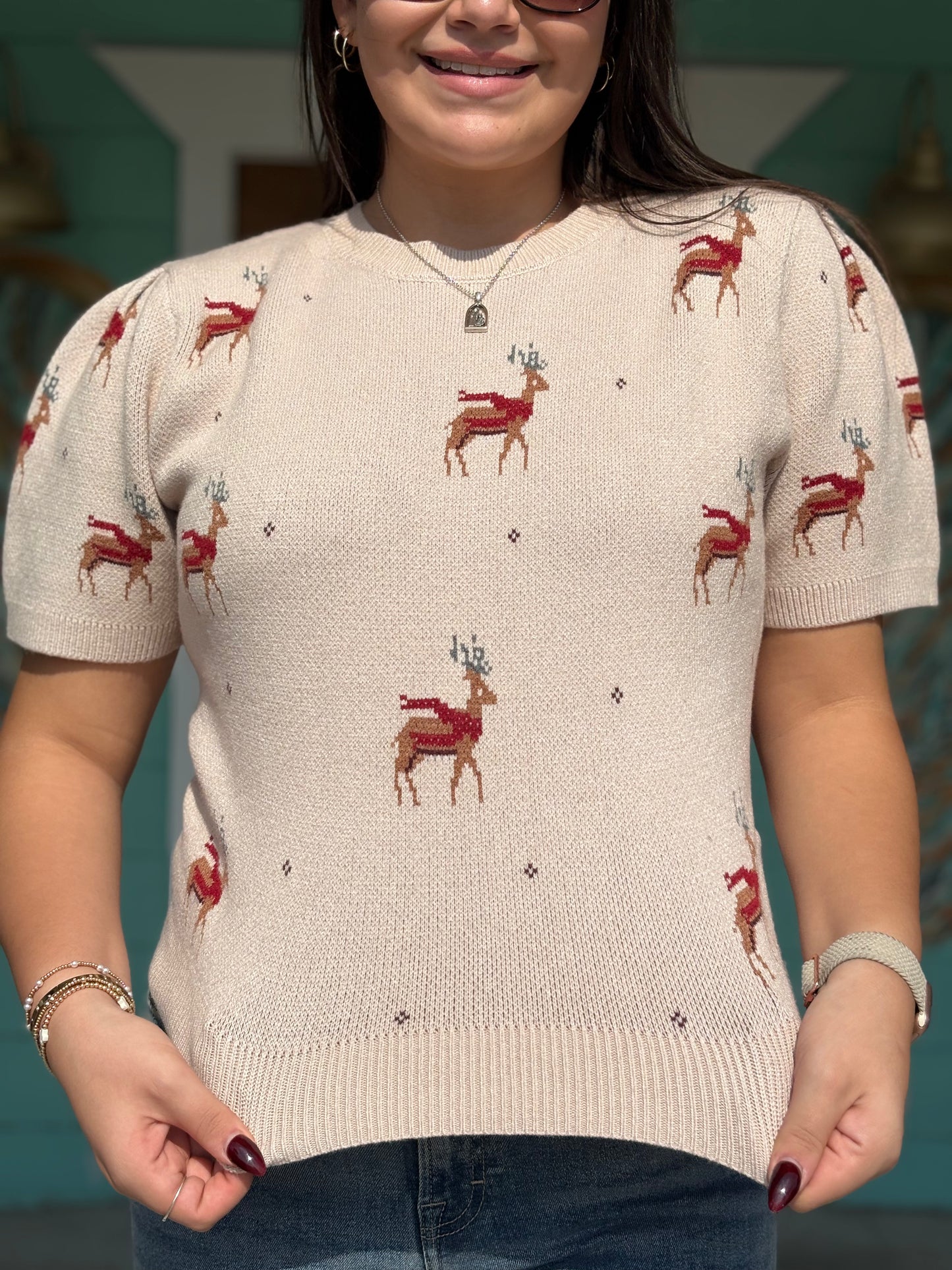 Reindeer Pattern Taupe Sweater