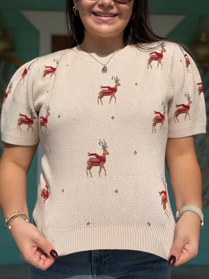 Reindeer Pattern Taupe Sweater