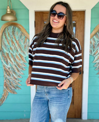 Blue & Brown Crew Neck Stripe Sweater