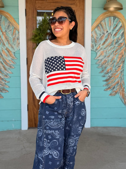 Flag Long Sleeve Mesh Crochet Top