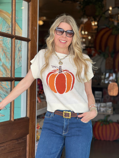 Pumpkin Knit Sweater Top