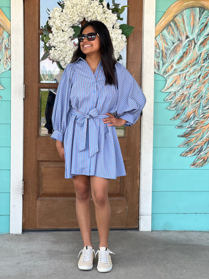Blue Stripe Collar Mini Dress
