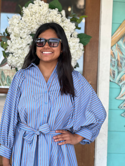 Blue Stripe Collar Mini Dress
