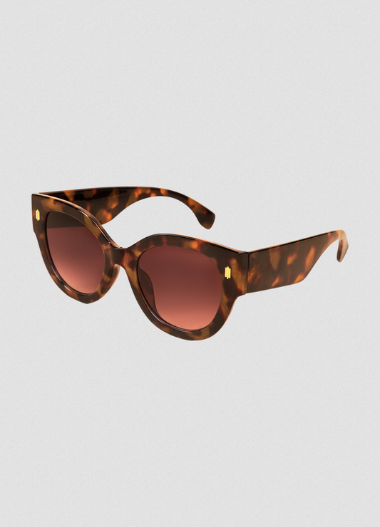 Powder Bailey Tortoise Shell Sunglasses