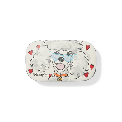 Brighton Mt Fashionista BFF Mini Box