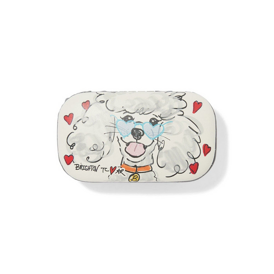 Brighton Mt Fashionista BFF Mini Box