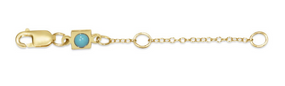 enewton 2" Necklace Extender Gold