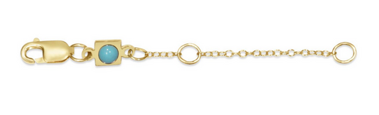 enewton 2" Necklace Extender Gold