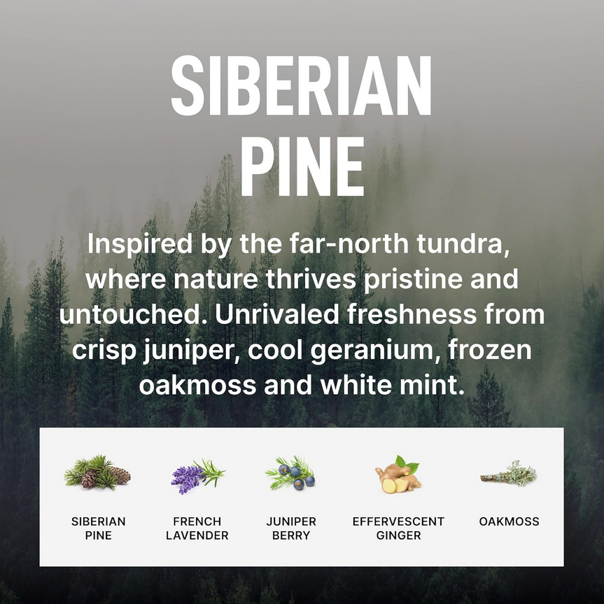 Laundry Sauce Dryer Sheets: Siberian Pine