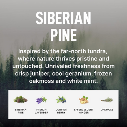 Laundry Sauce Dryer Sheets: Siberian Pine
