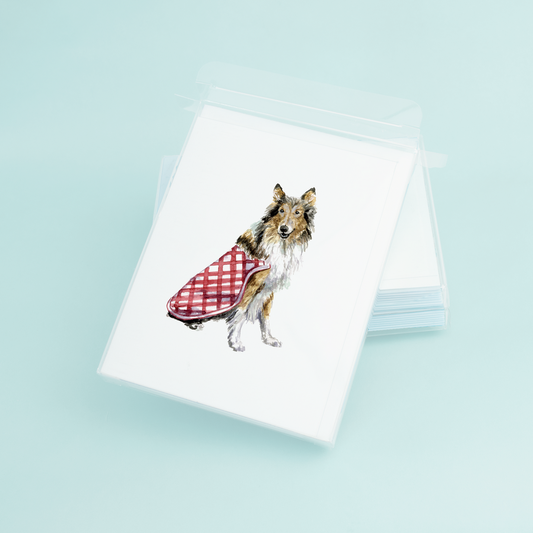 Rough Collie Box 8 Note Cards