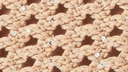 Caramel Sequin Long Sleeve Top