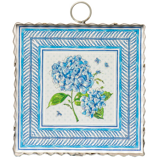 RTC Beck's Blue Hydrangea Gallery