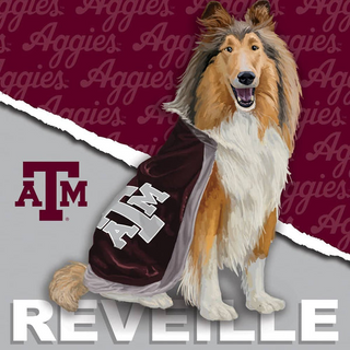 Texas A&M Aggies Mascot 100 pc Jigsaw Puzzle