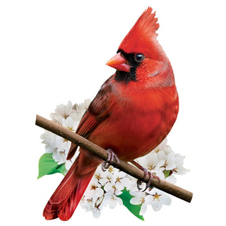 Cardinal 100 Piece Jigsaw Puzzle