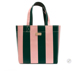 Consuela Grab n Go Mini Fern
