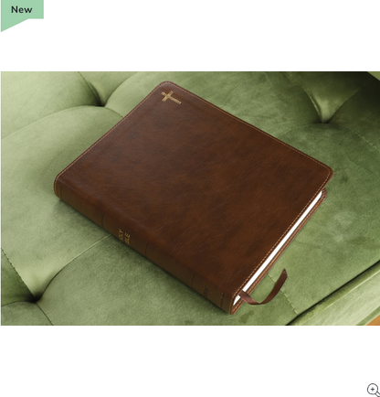 NIV Journal the Word Bible