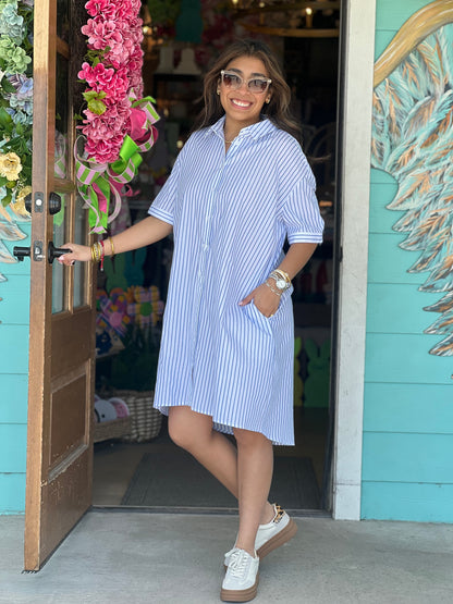 Blue Stripe Metallic Detail Dress