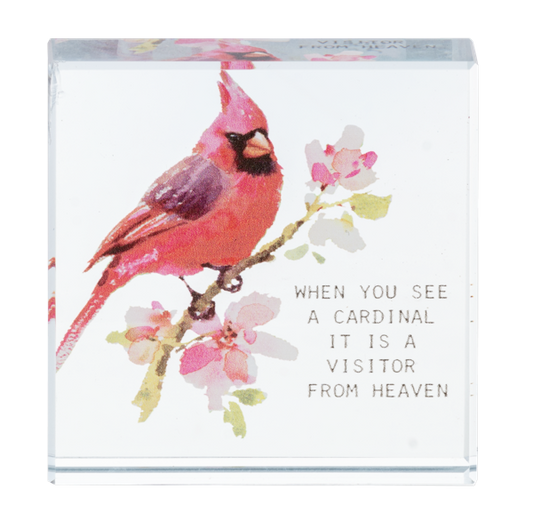 Acrylic Cardinal Shelf Sitter