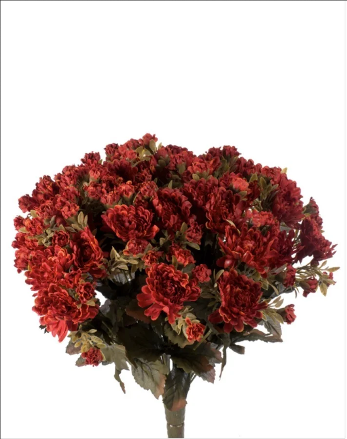 Rust Fall Mum Bush