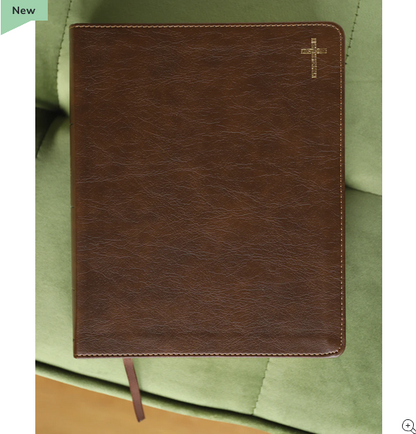 NIV Journal the Word Bible