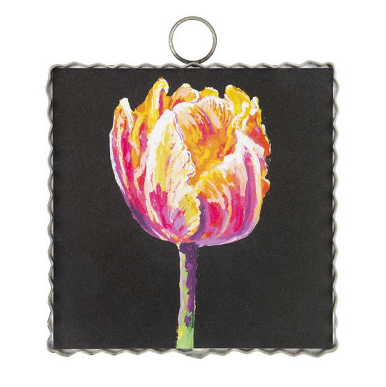 RTC Gallery Parrot Tulip